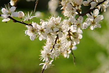 I benifici del Tai Chi